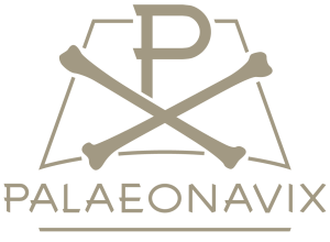 Palaeonavix